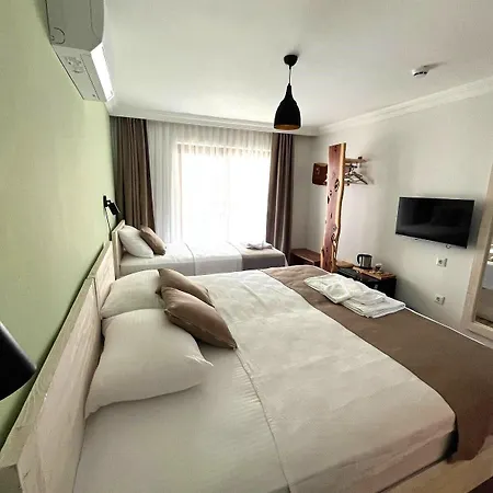 Nest Gunay Каш